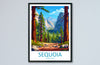 Sequoia US National Park Travel Print