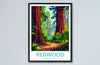 Redwood US National Park Travel Print