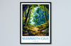 Mammoth Cave US National Park Travel Print