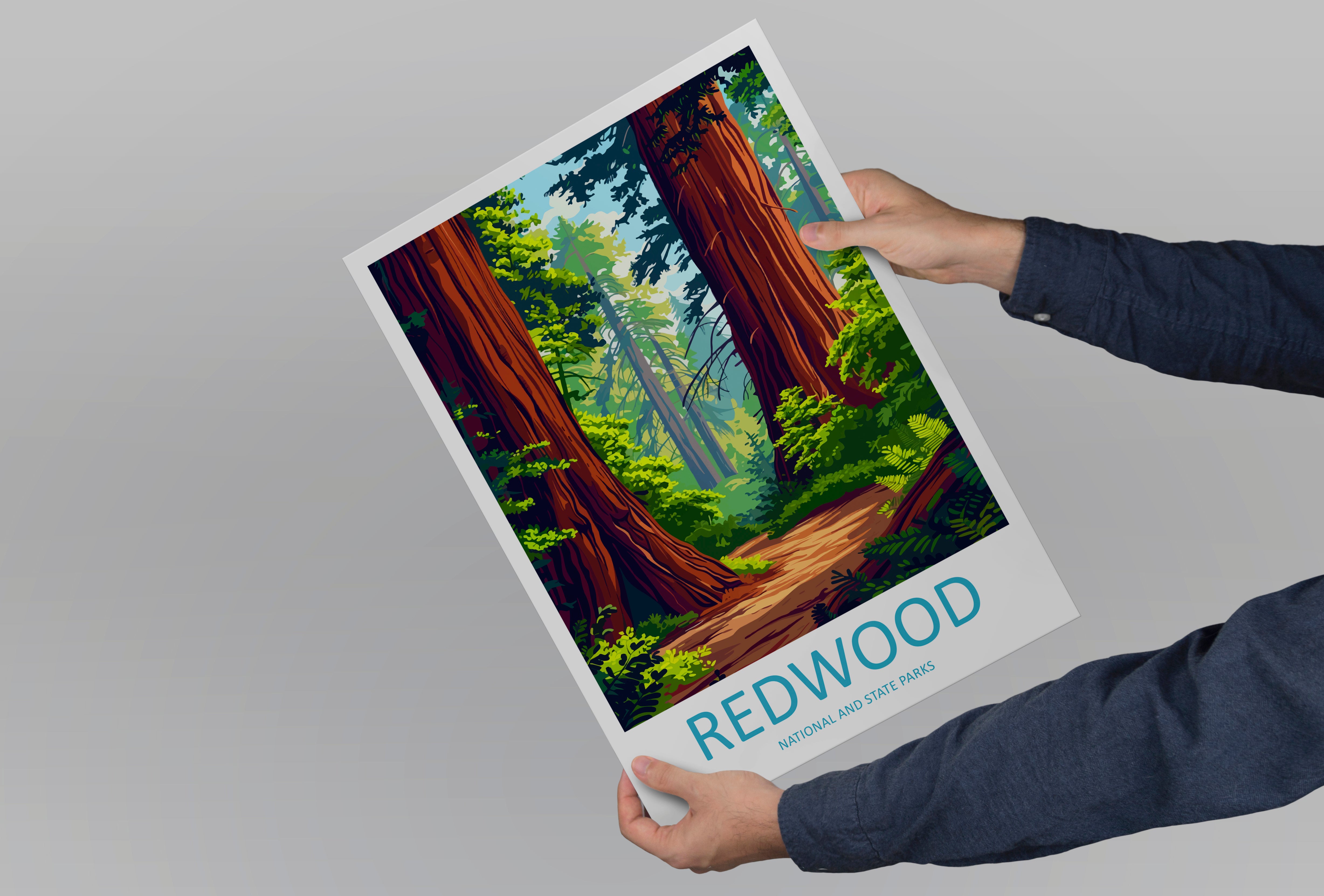 Redwood US National Park Travel Print