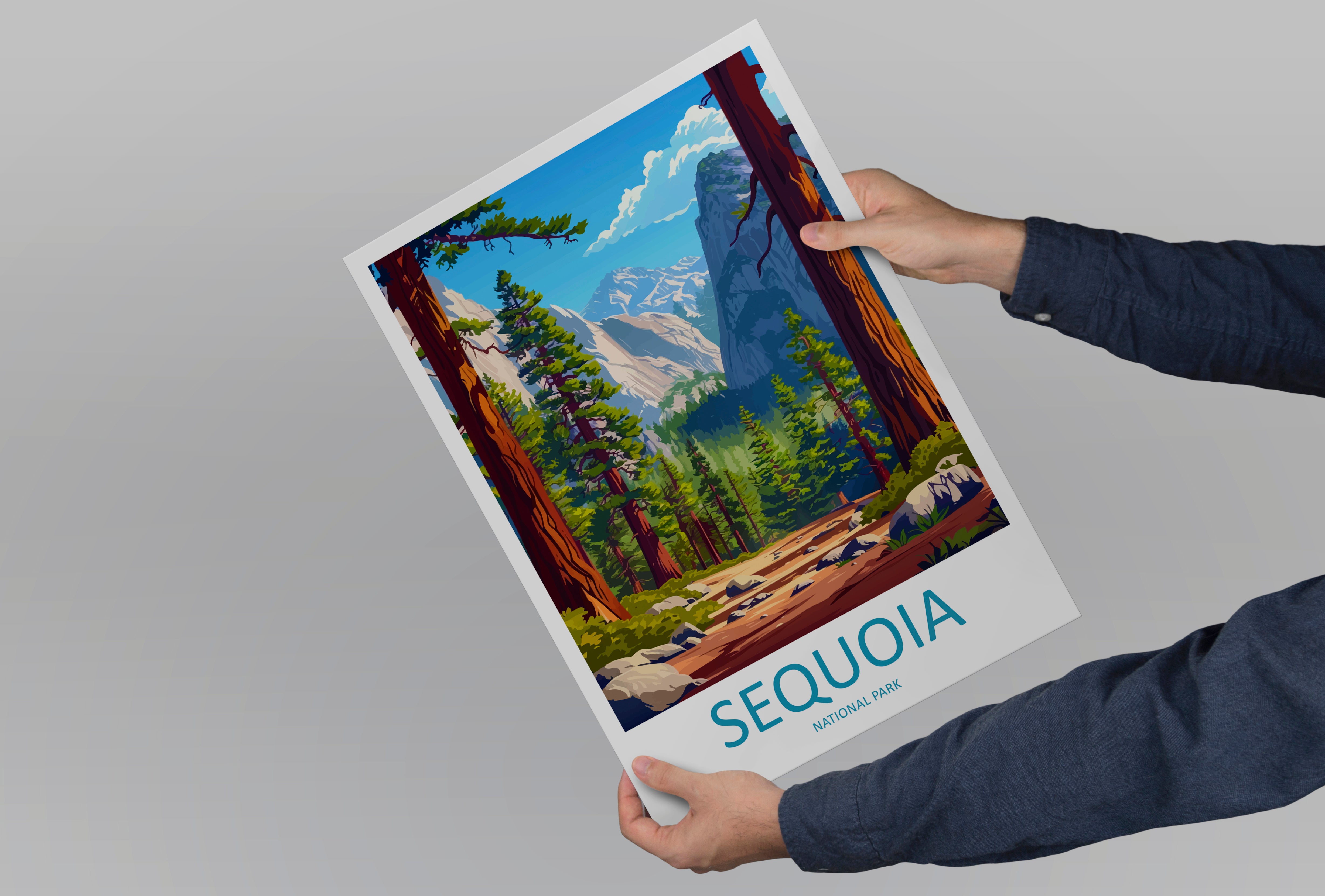 Sequoia US National Park Travel Print