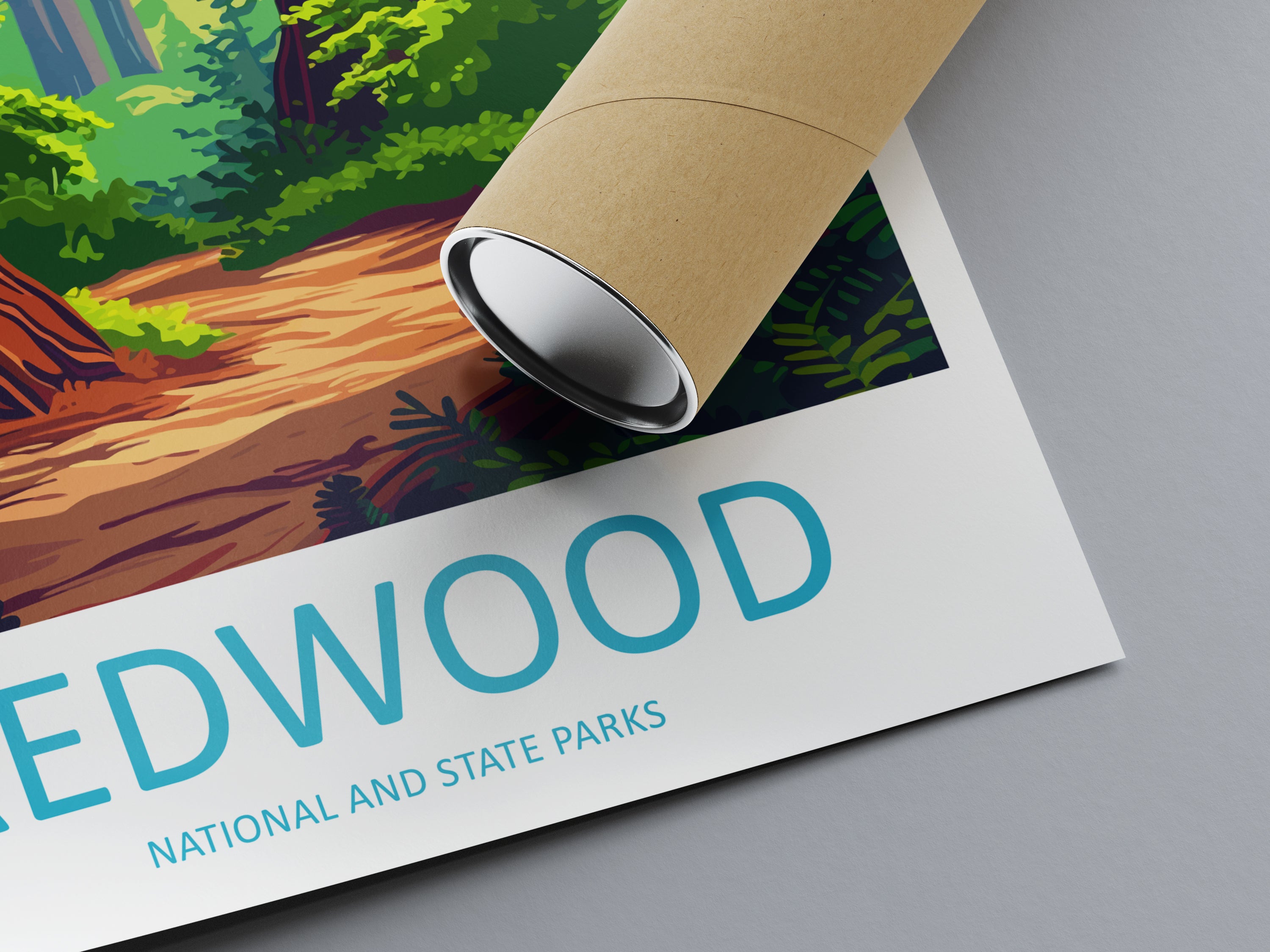 Redwood US National Park Travel Print