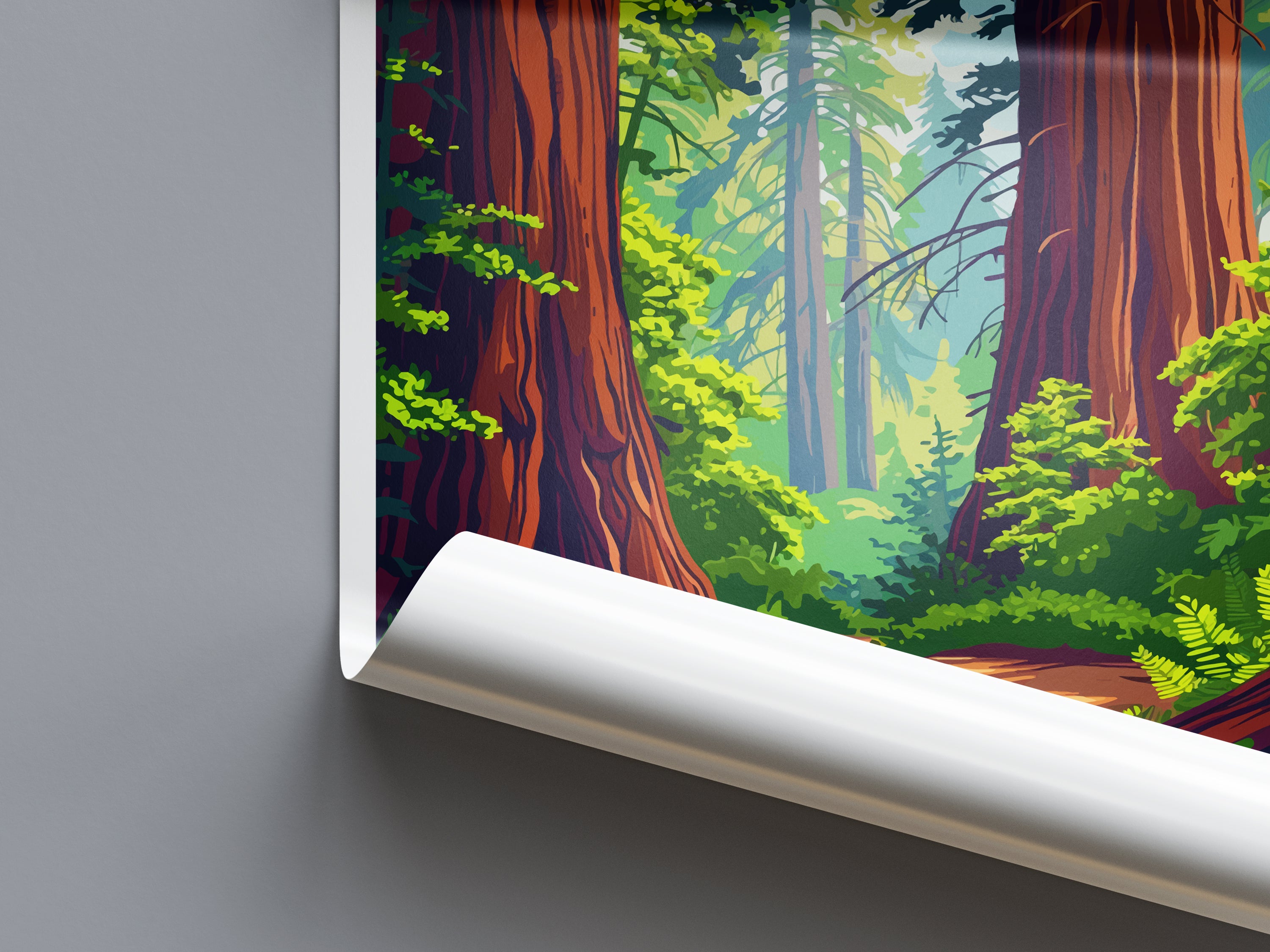 Redwood US National Park Travel Print