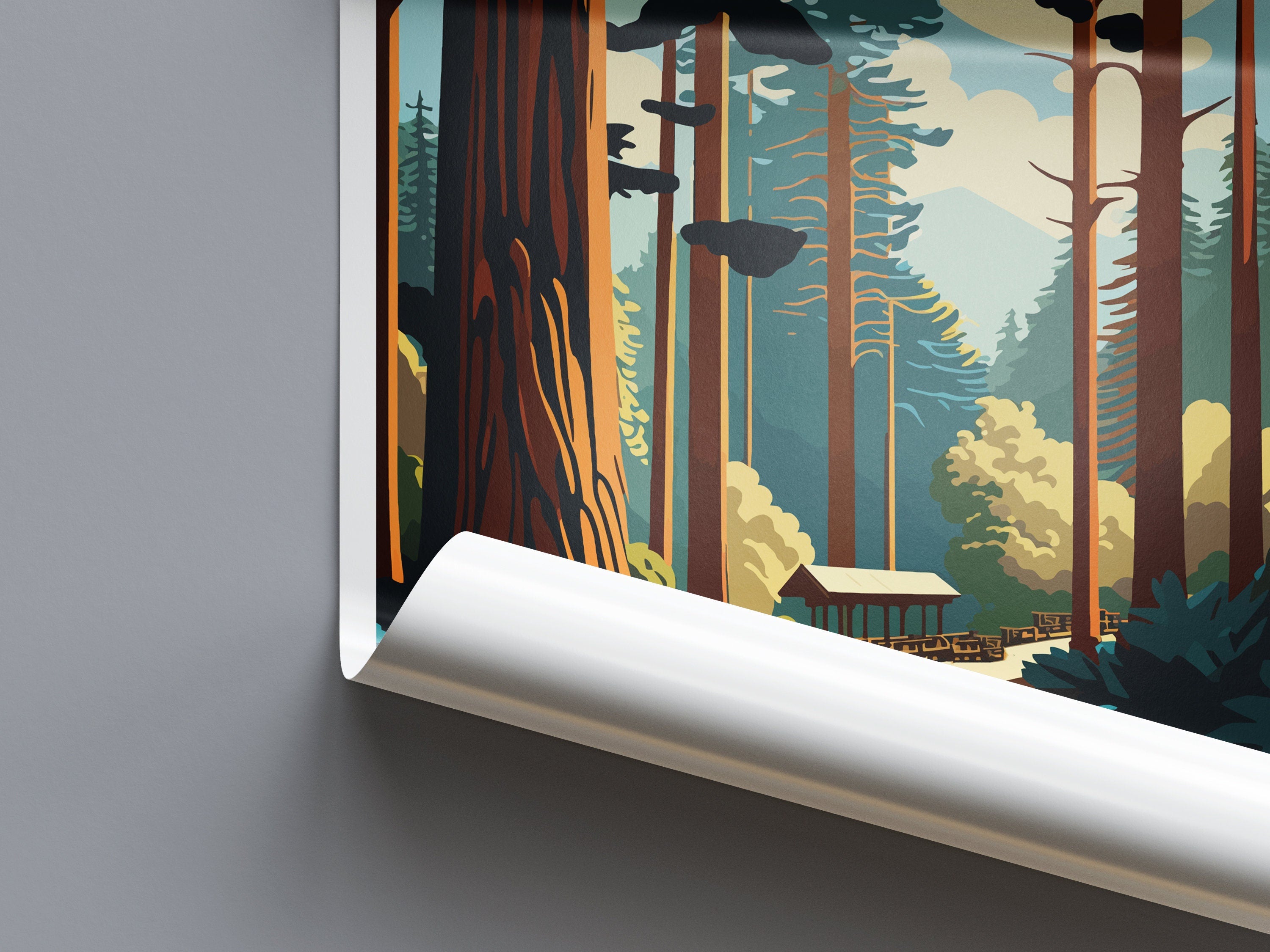 Muir Woods National Monument Travel Print