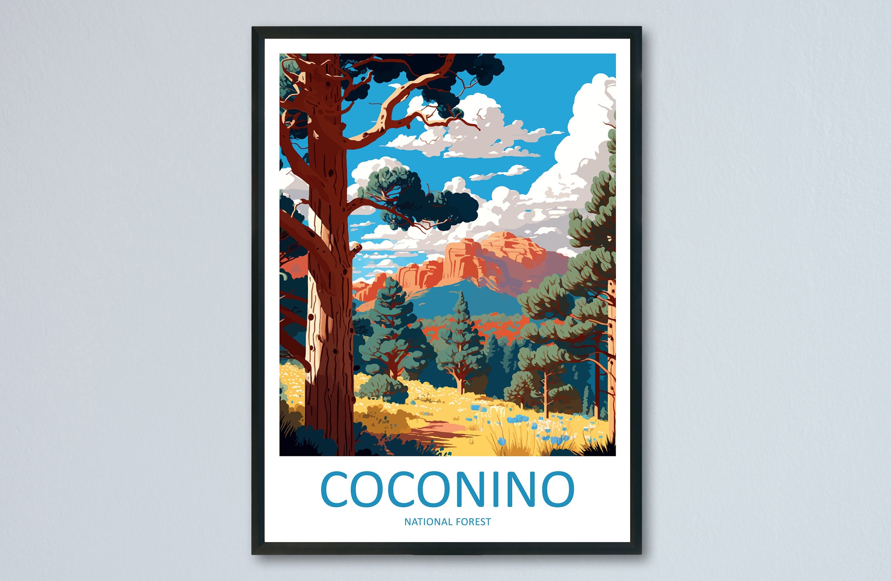 Coconino National Forest Travel Print