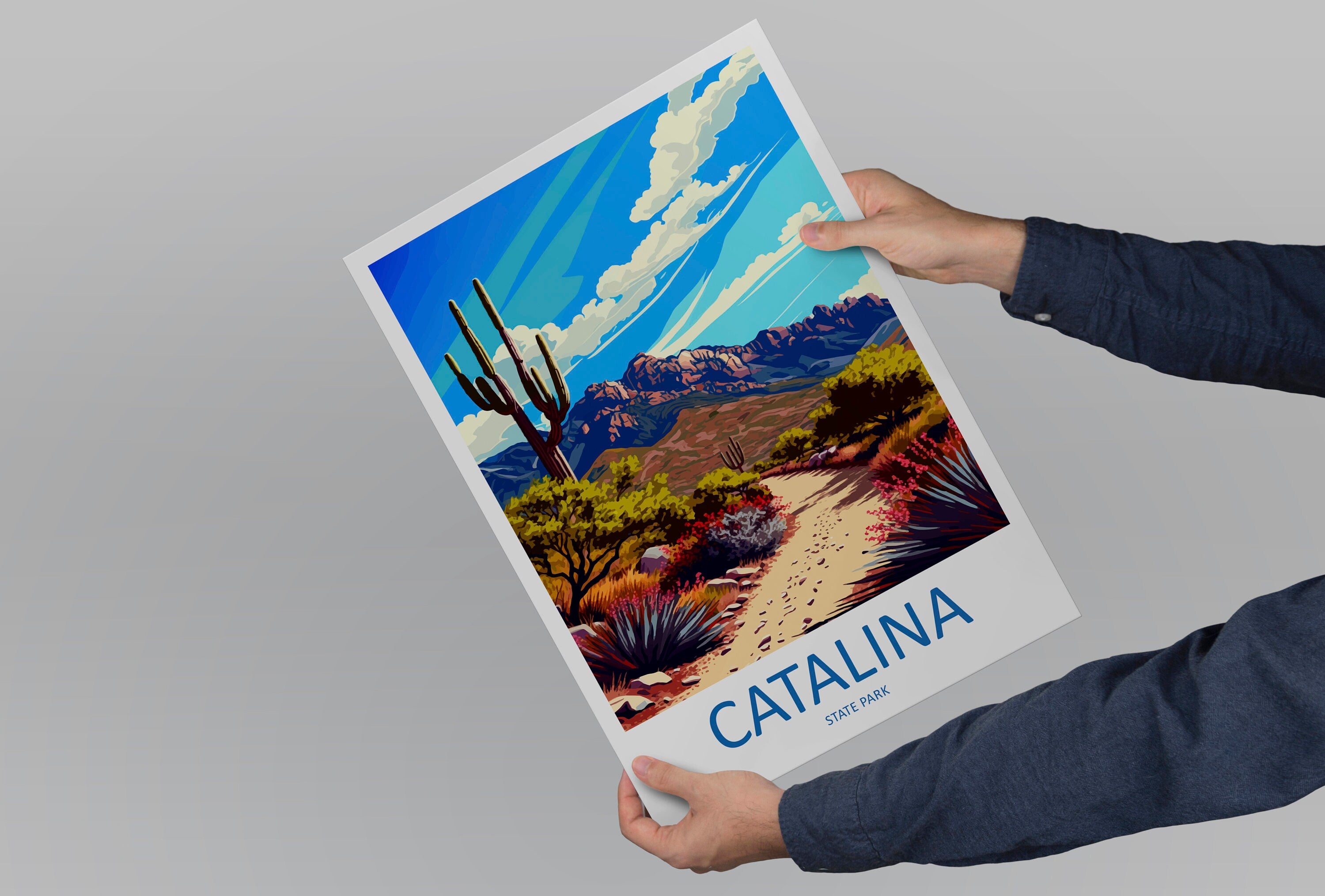 Catalina State Park Travel Print