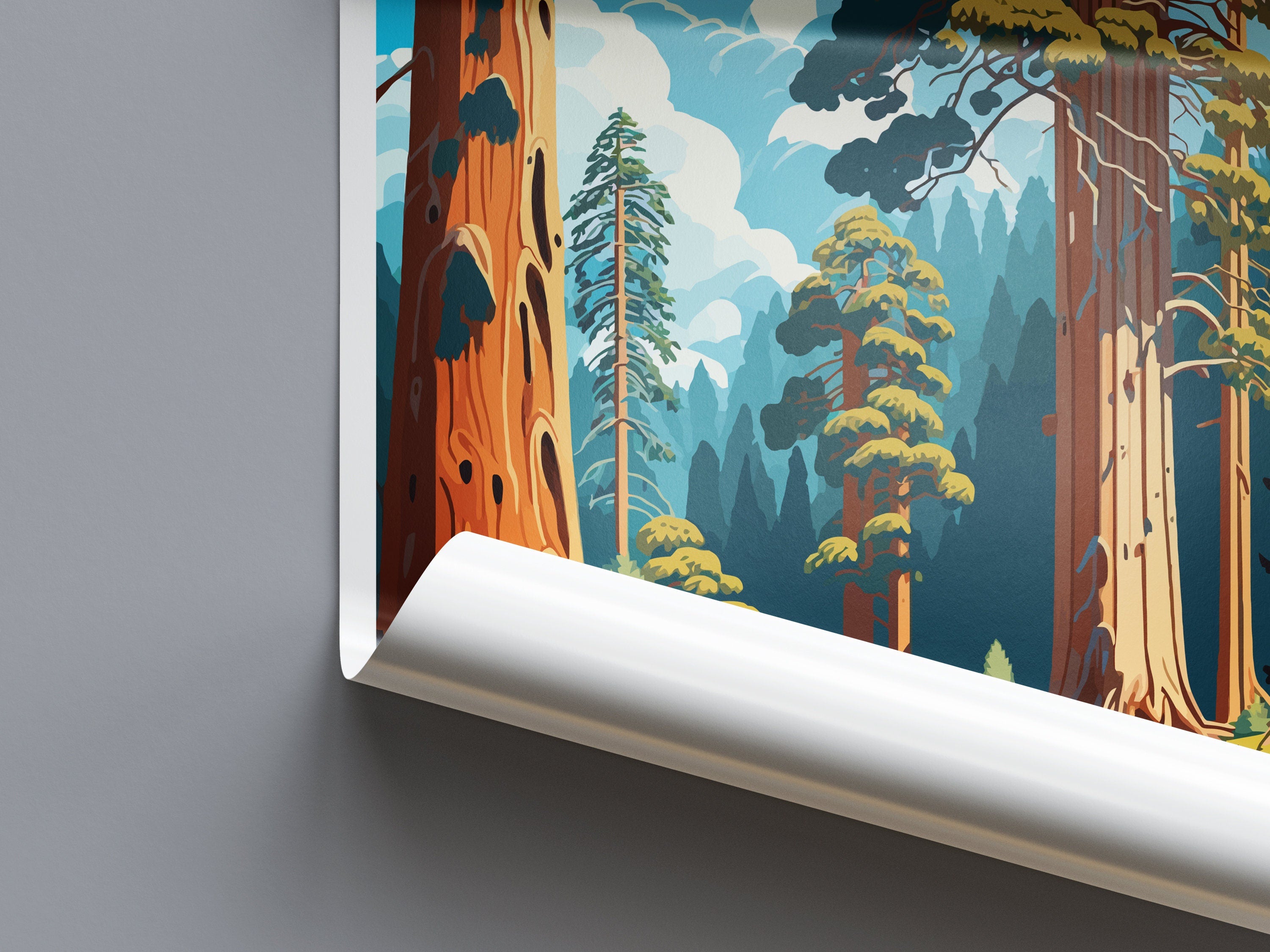 Big Basin Redwoods State Park Travel Print