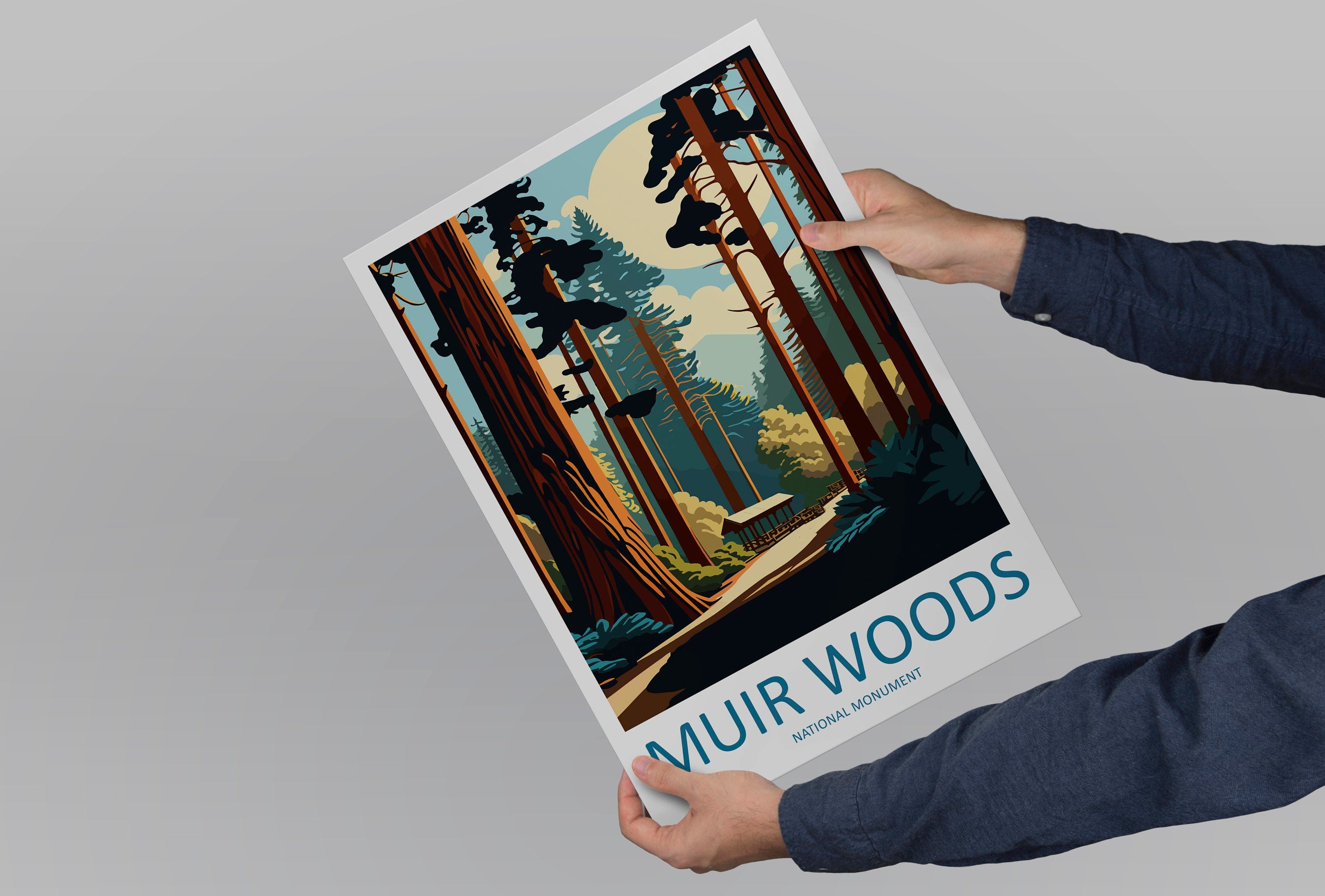 Muir Woods National Monument Travel Print