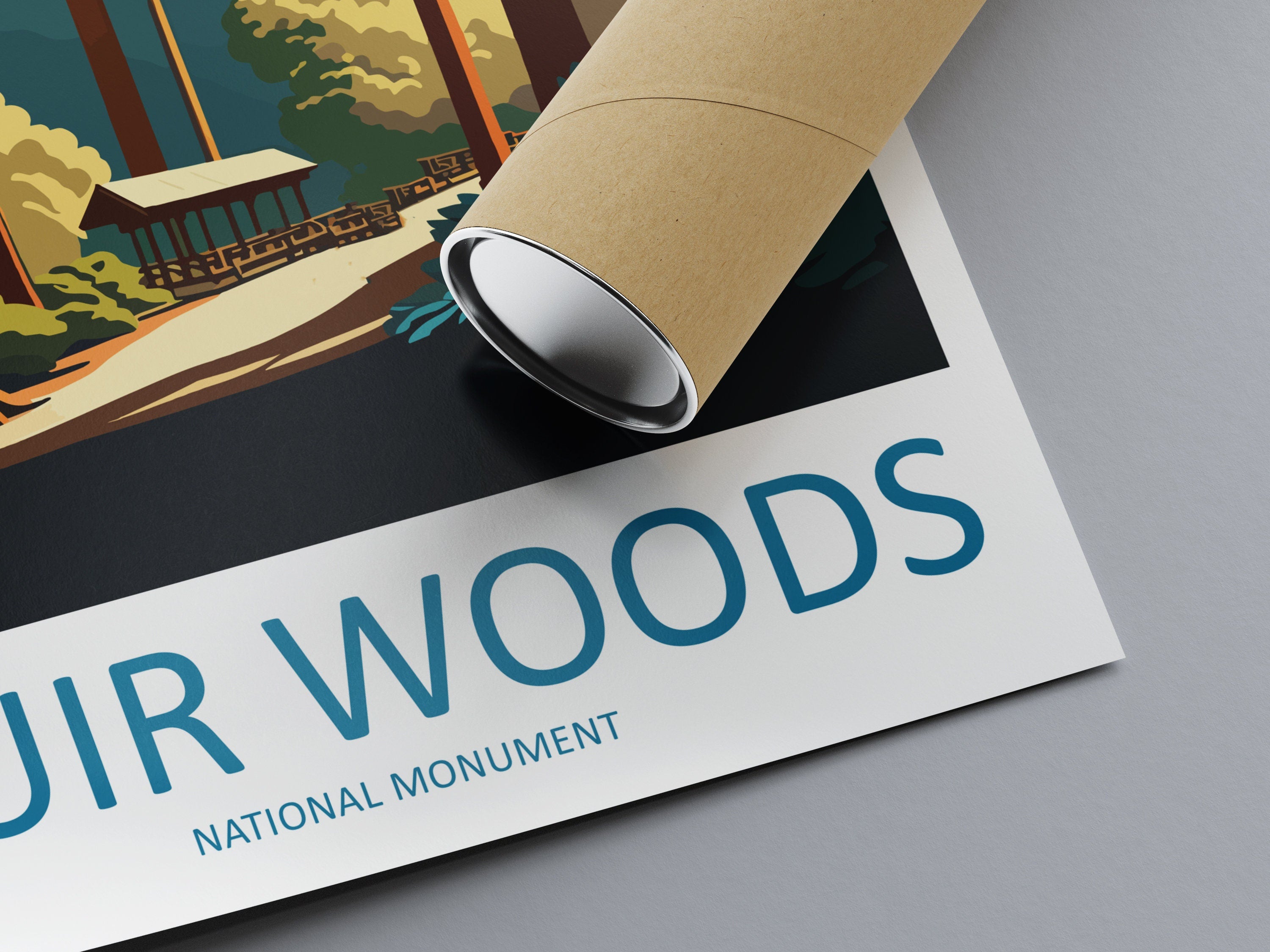 Muir Woods National Monument Travel Print