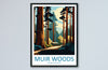 Muir Woods National Monument Travel Print