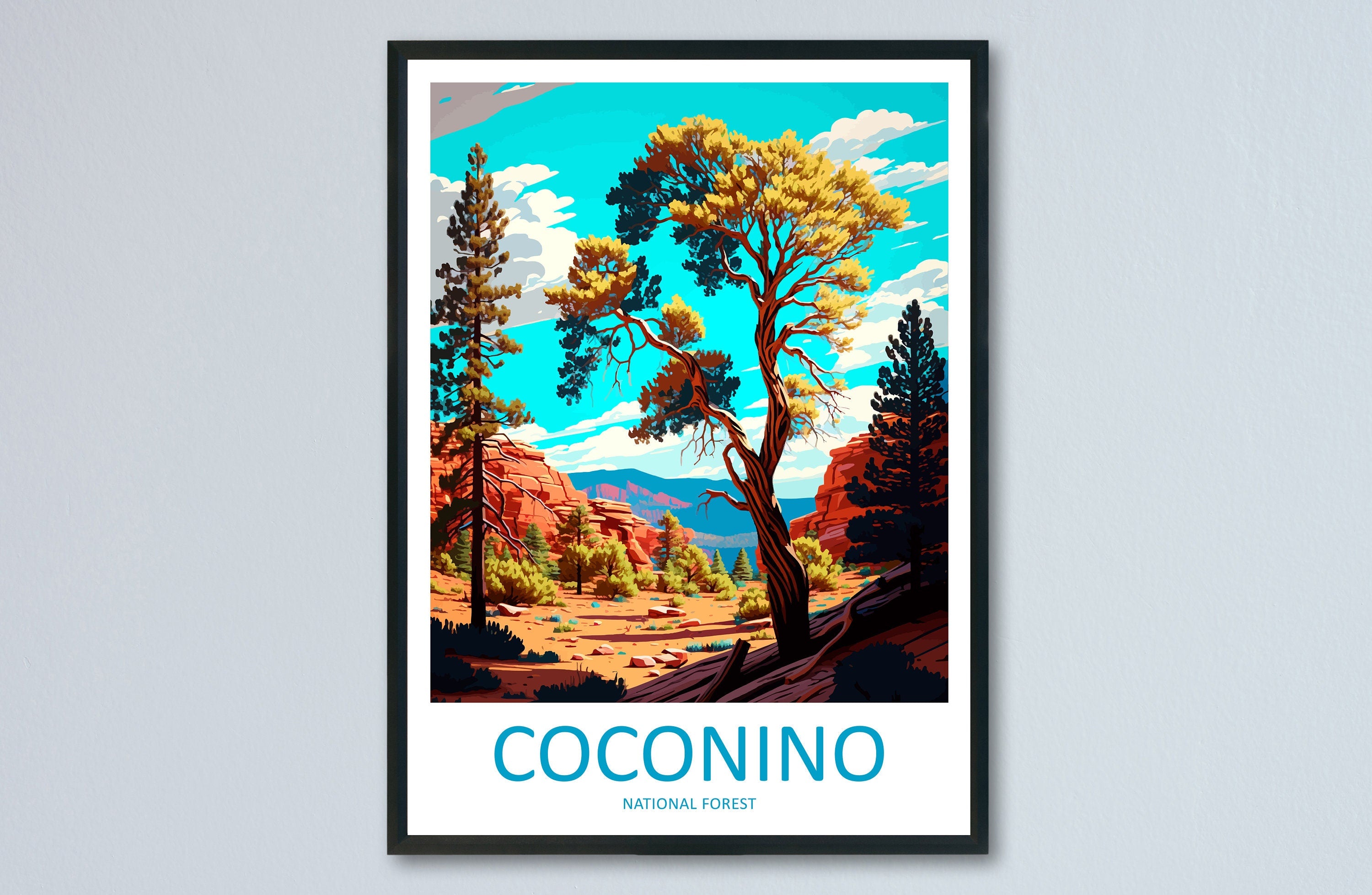 Coconino National Forest Travel Print