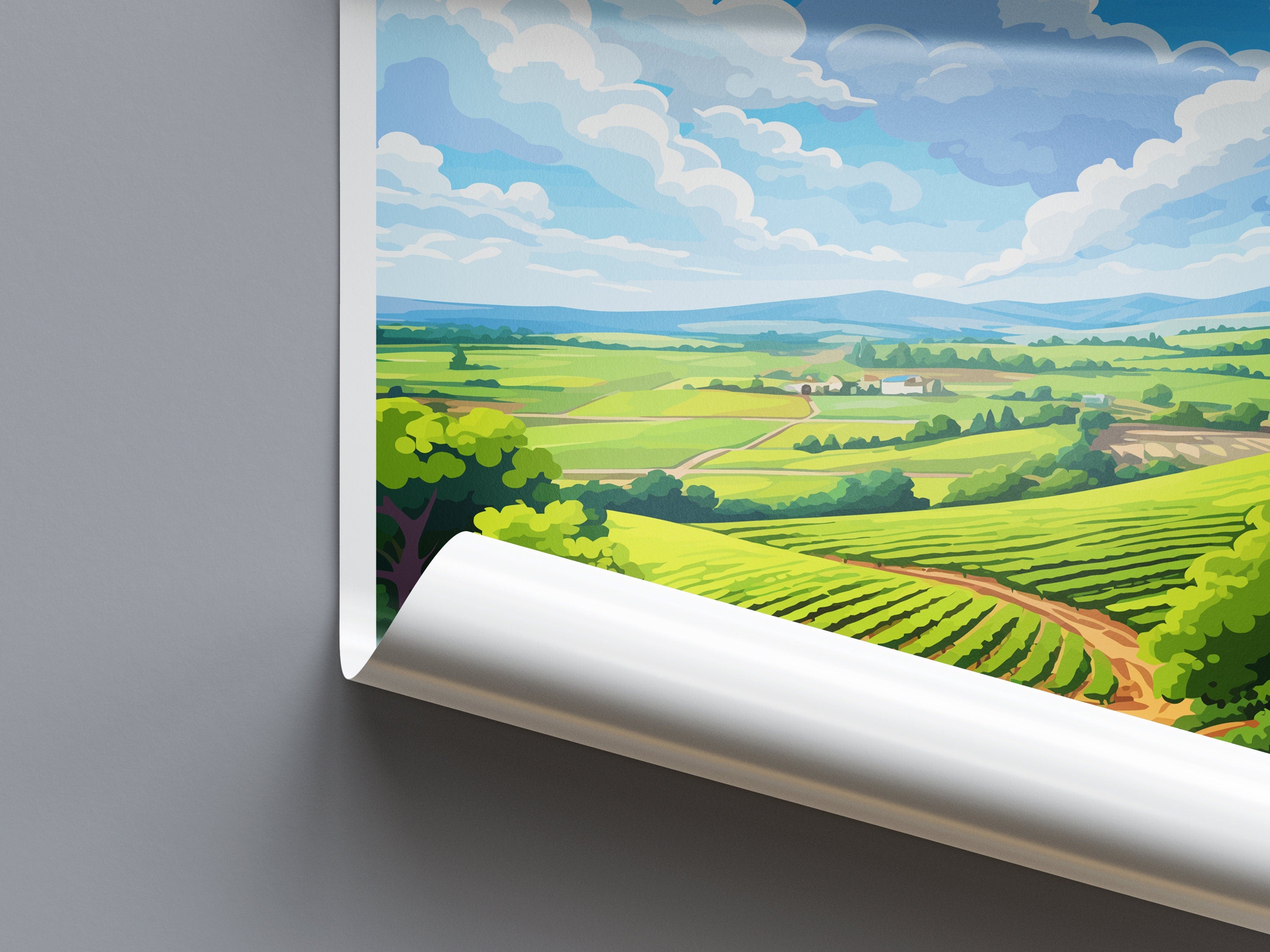 Barossa Valley Travel Print