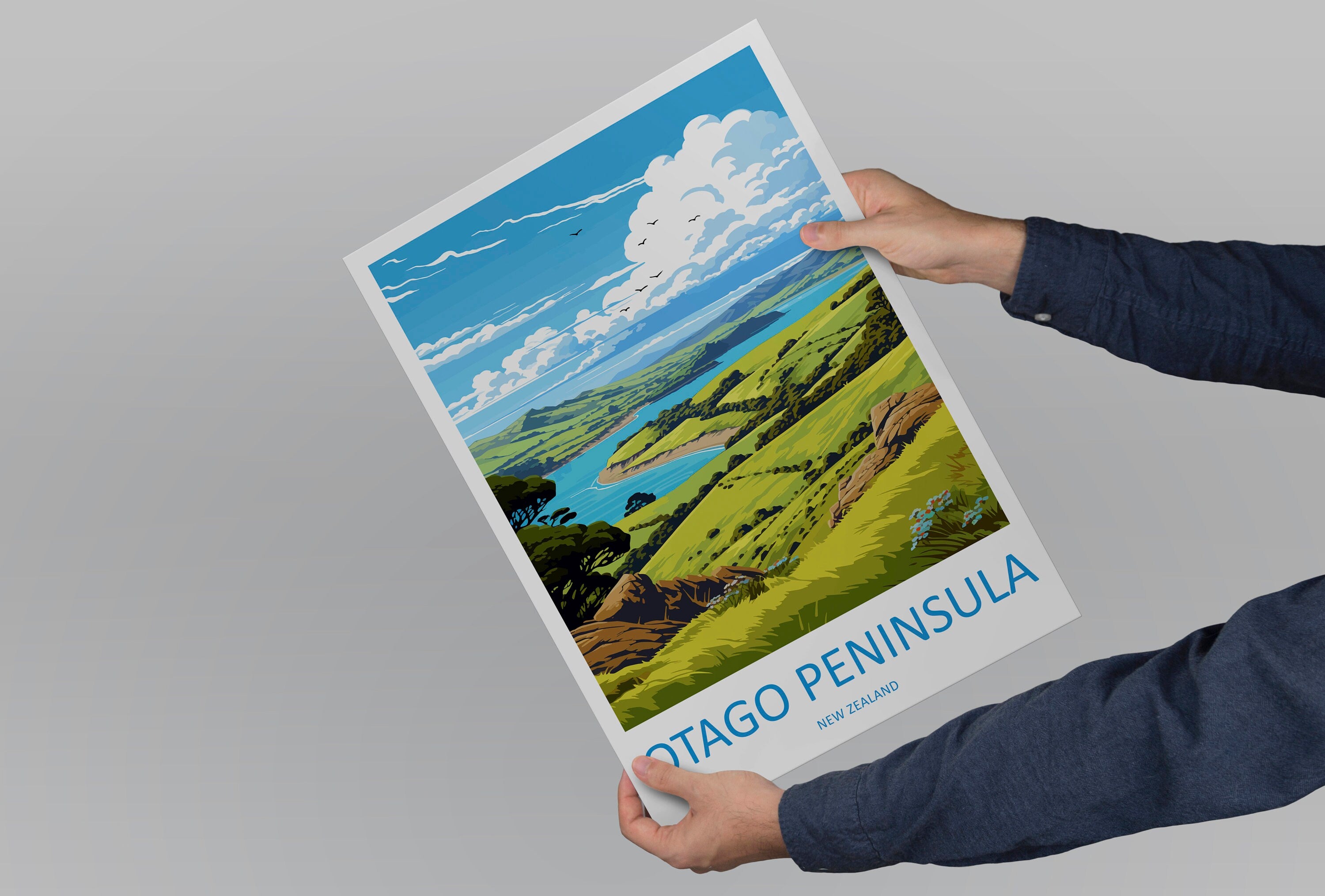 Otago Peninsula Travel Print