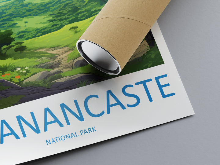 Guanacaste National Park Travel Print Wall Art Guanacaste Wall Hanging Home Décor Guanacaste National Park Gift Art Costa Rica