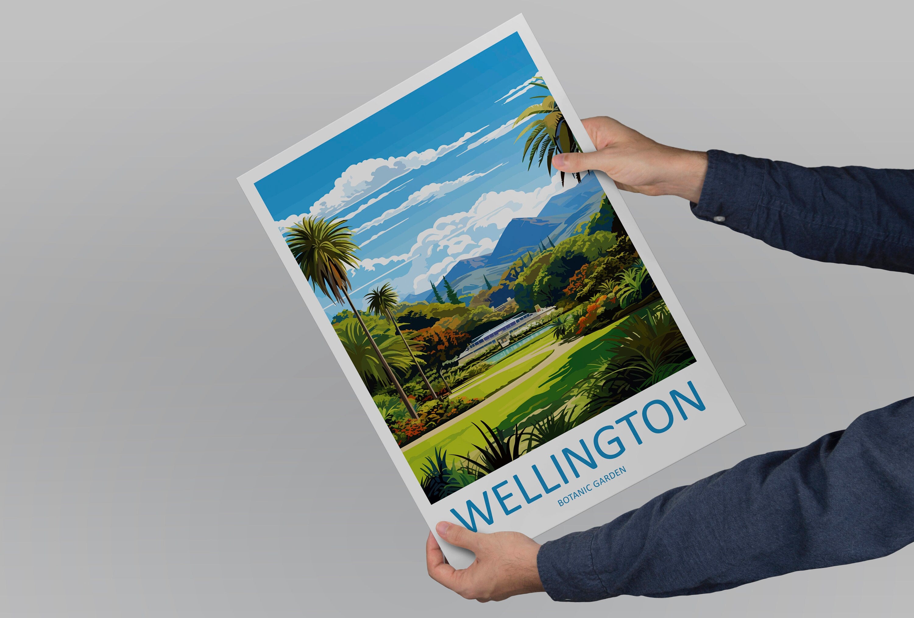 Wellington Botanical Garden Travel Print