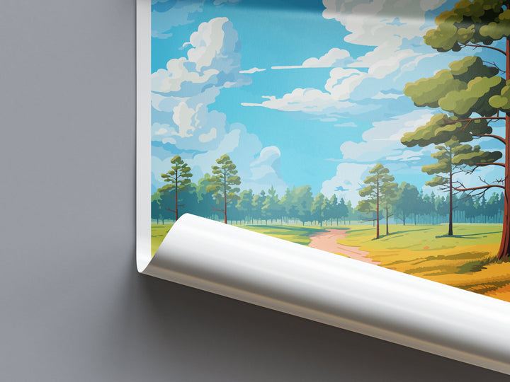 Cannock Chase Travel Print Wall Art Cannock Chase Wall Hanging Home Decor Cannock Chase Gift Art Lovers Wall Art AONB Print