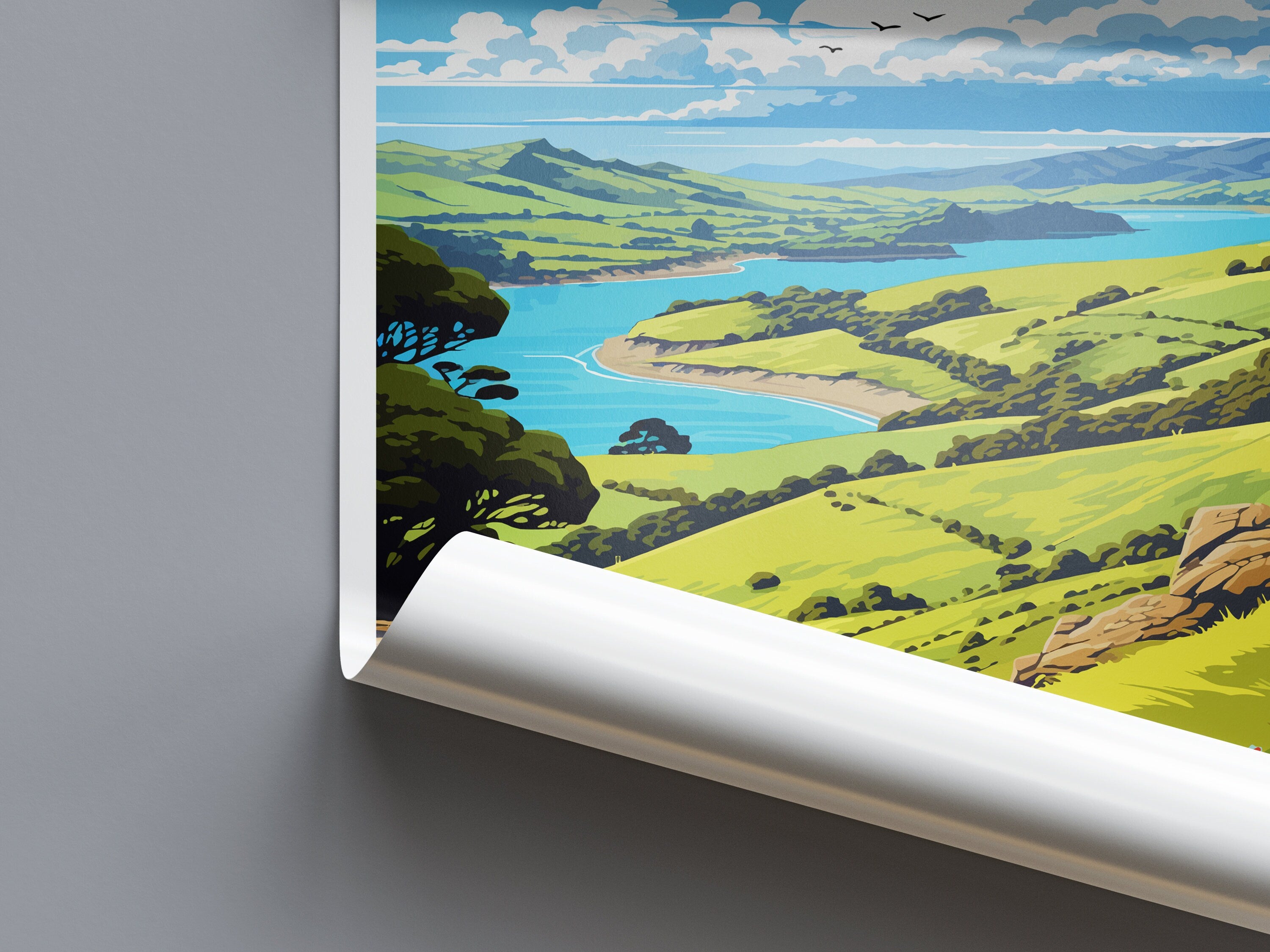 Otago Peninsula Travel Print