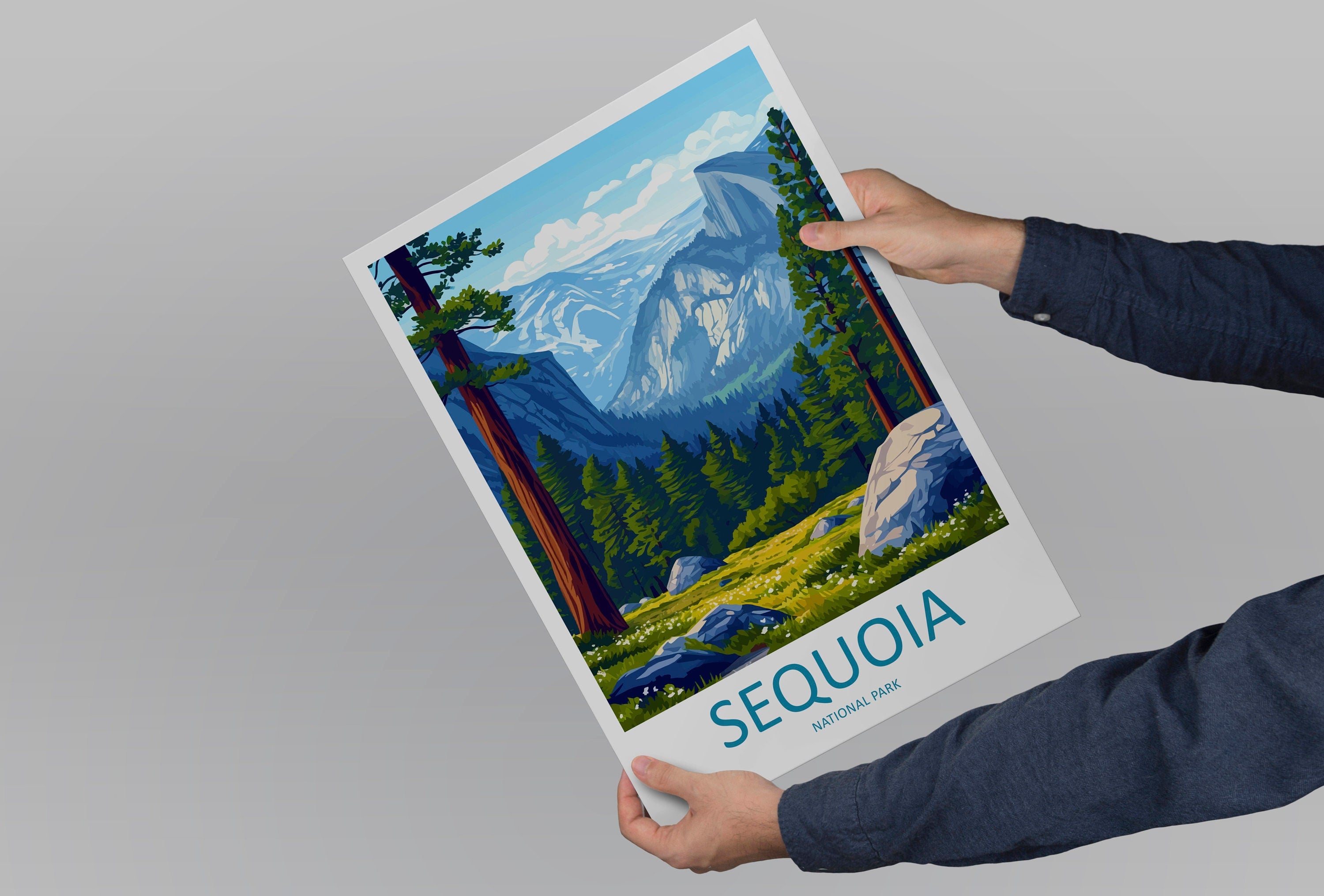 Sequoia National Park Travel Print