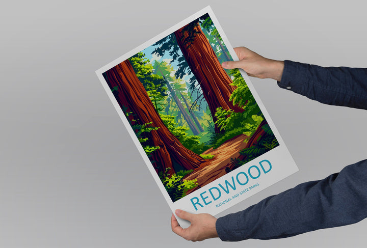 Redwood National Park Travel Print Wall Art Redwood Wall Hanging Home Décor Redwood Gift Art Lovers California Art Lover Gift