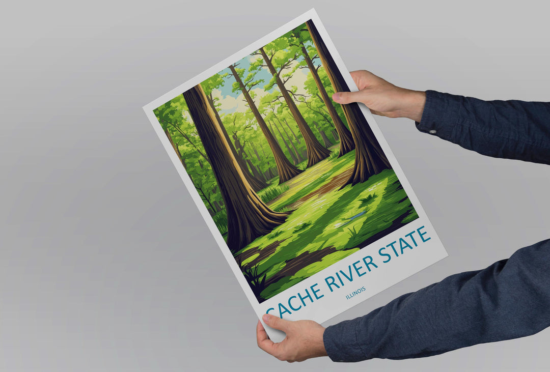 Cache River State Natural Area Travel Print Cache River Wall Decor Illinois Cache River Art Cache River Wall Art Poster Gift Nature Lovers