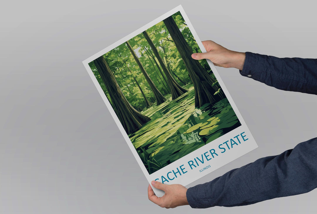 Cache River State Natural Area Travel Print Cache River Wall Decor Illinois Cache River Art Cache River Wall Art Poster Gift Nature Lovers