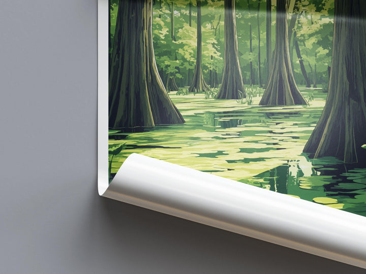 Cache River State Natural Area Travel Print Cache River Wall Decor Illinois Cache River Art Cache River Wall Art Poster Gift Nature Lovers