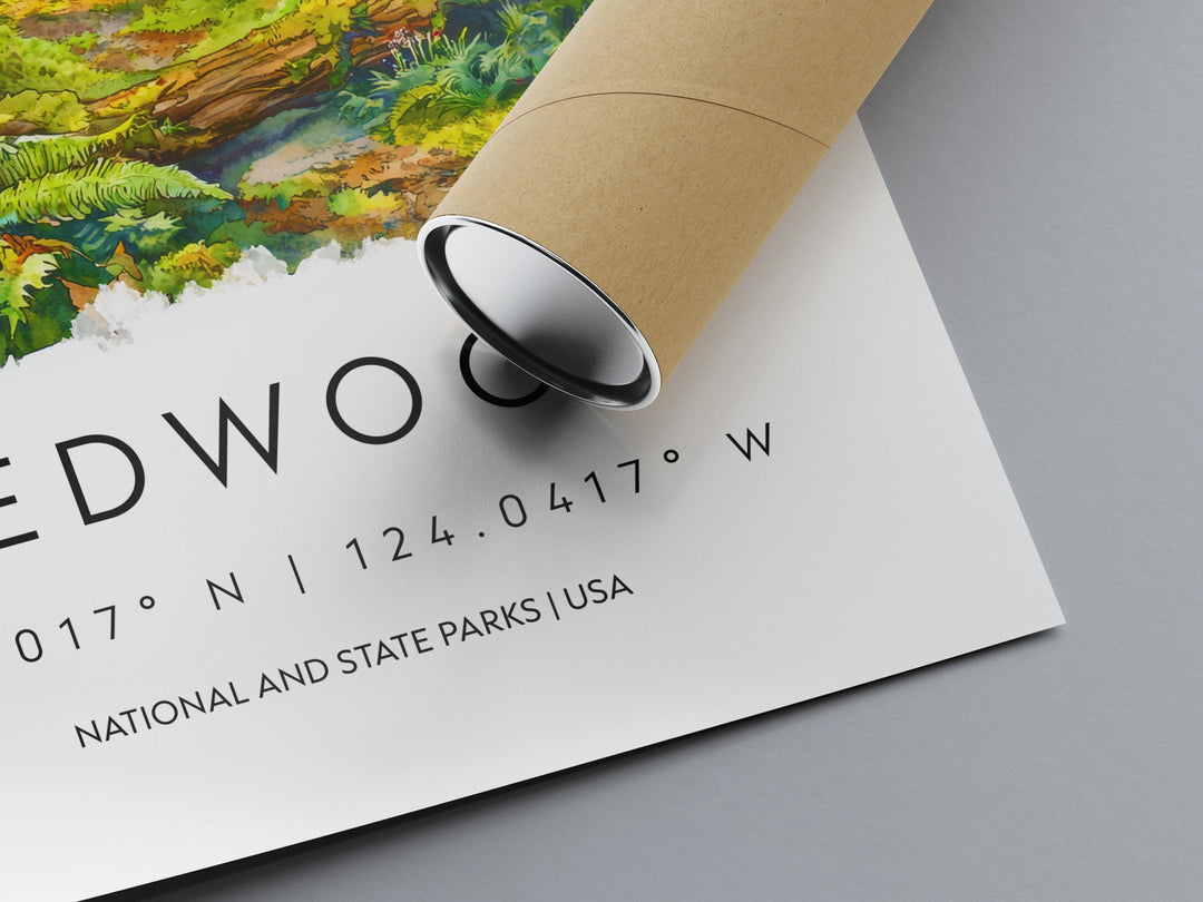 Redwood Watercolor Poster Redwood Travel Print California Wall Art Redwood Forest Decor Coastal Landscape Redwood Tree Scene Print