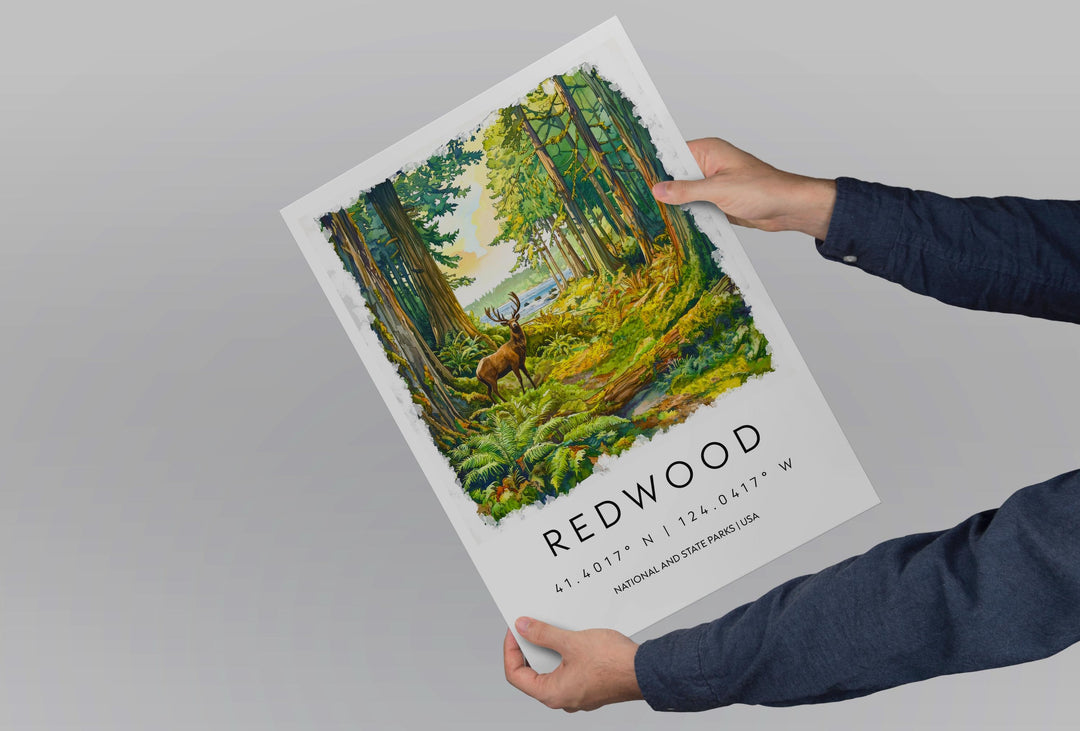 Redwood Watercolor Poster Redwood Travel Print California Wall Art Redwood Forest Decor Coastal Landscape Redwood Tree Scene Print