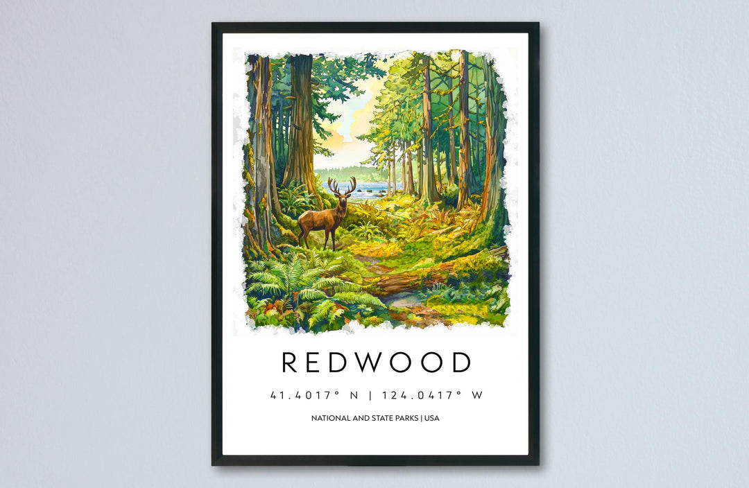 Redwood Watercolor Poster Redwood Travel Print California Wall Art Redwood Forest Decor Coastal Landscape Redwood Tree Scene Print