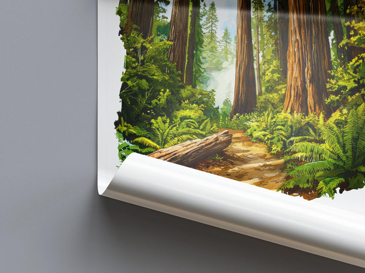 Redwood Watercolor Poster Redwood California Travel Print Wall Art Redwood Home Decor Redwood Gift Art Lovers Redwood National Park