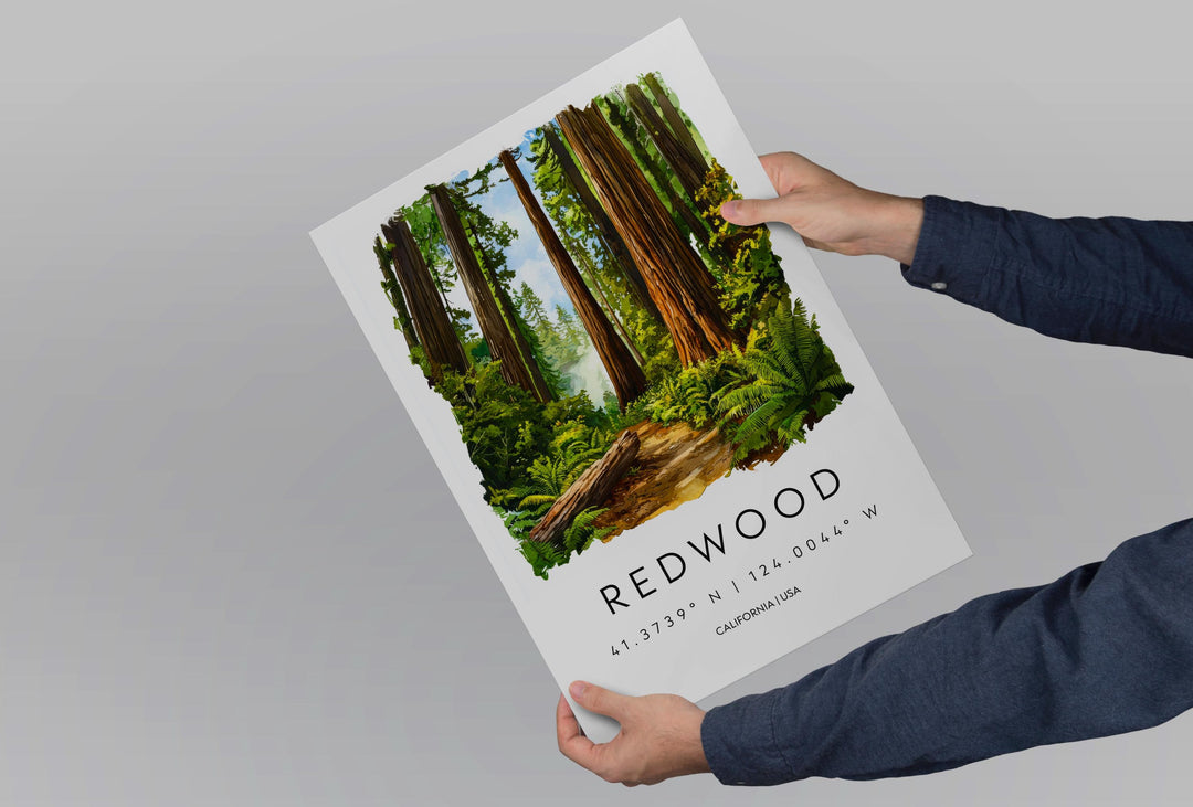 Redwood Watercolor Poster Redwood California Travel Print Wall Art Redwood Home Decor Redwood Gift Art Lovers Redwood National Park