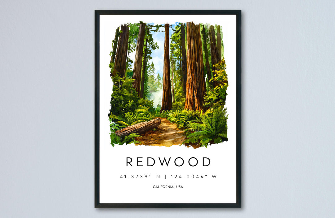 Redwood Watercolor Poster Redwood California Travel Print Wall Art Redwood Home Decor Redwood Gift Art Lovers Redwood National Park