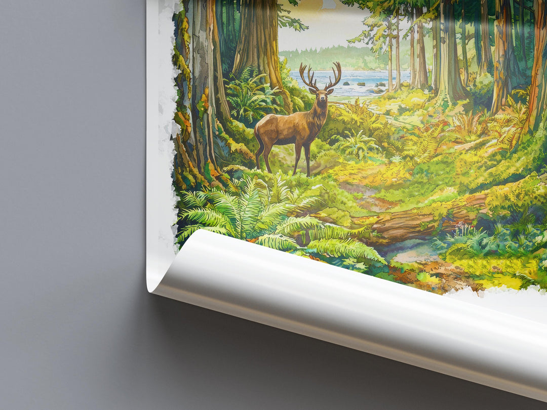 Redwood Watercolor Poster Redwood Travel Print California Wall Art Redwood Forest Decor Coastal Landscape Redwood Tree Scene Print