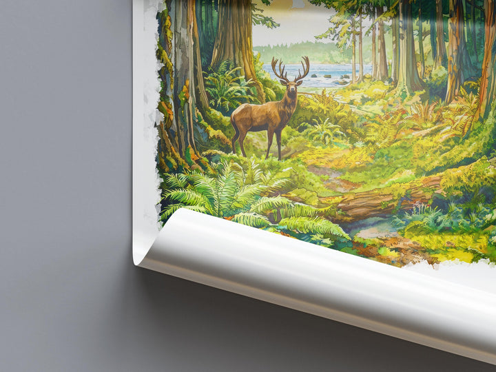 Redwood Watercolor Poster Redwood Travel Print California Wall Art Redwood Forest Decor Coastal Landscape Redwood Tree Scene Print