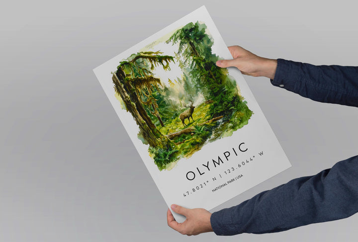 Olympic Watercolor Poster Olympic Travel Print Washington Wall Art Olympic National Park Decor Forest Coast Mountain Scene Landscape Print