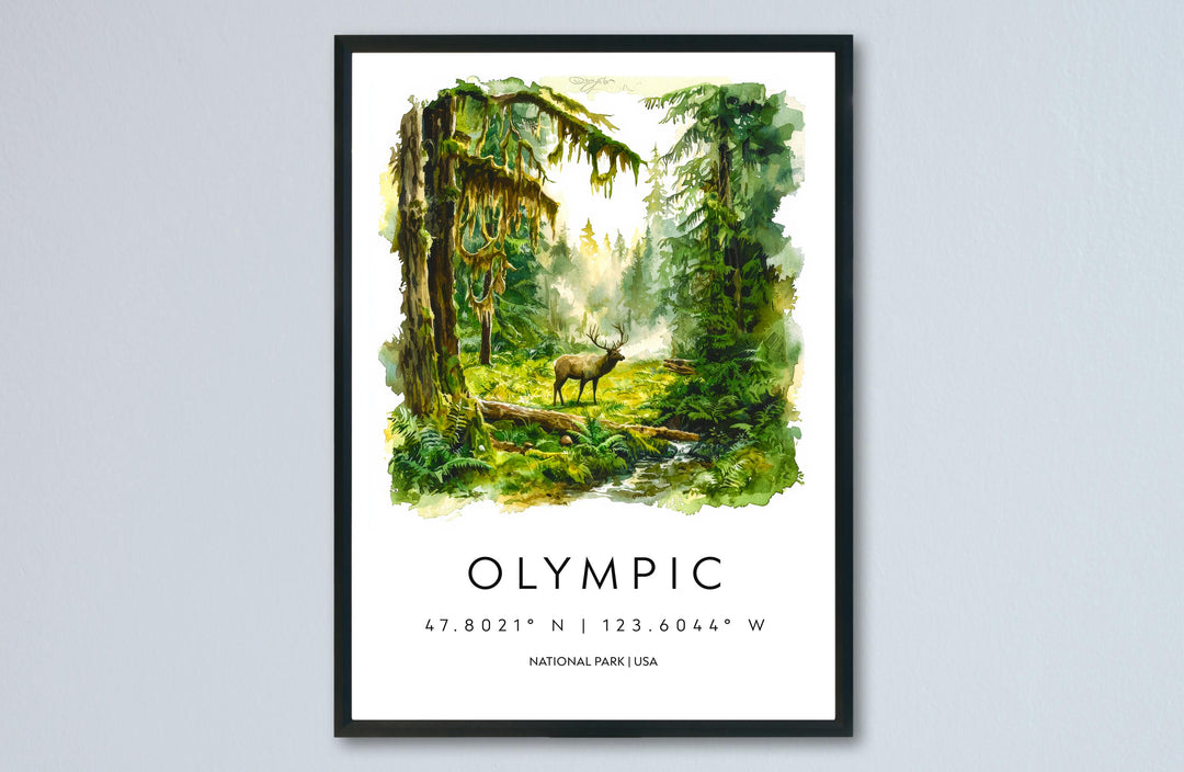 Olympic Watercolor Poster Olympic Travel Print Washington Wall Art Olympic National Park Decor Forest Coast Mountain Scene Landscape Print