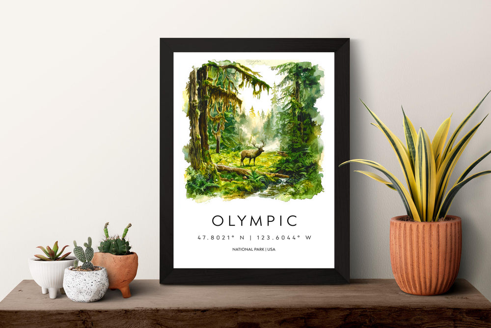 Olympic Watercolor Poster Olympic Travel Print Washington Wall Art Olympic National Park Decor Forest Coast Mountain Scene Landscape Print