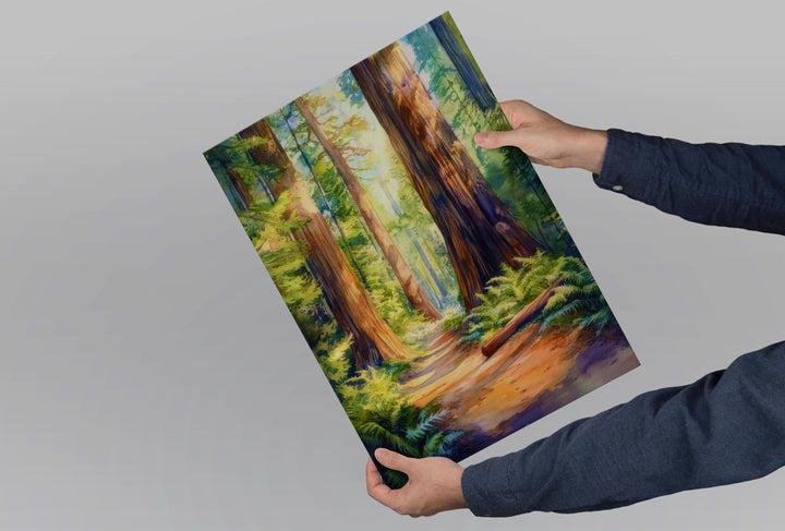 Redwood National State and Parks Watercolor Poster California Travel Print Wall Art Redwood Home Decor Redwood Gift Nature Lovers