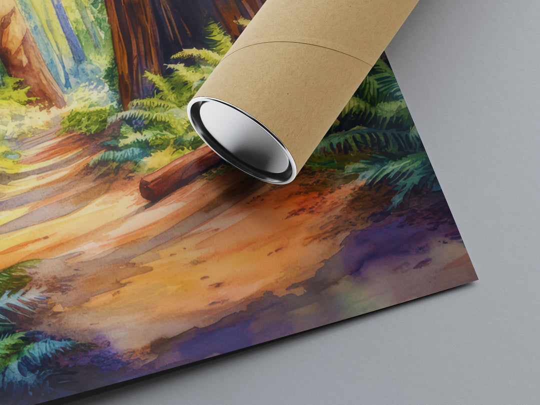 Redwood National State and Parks Watercolor Poster California Travel Print Wall Art Redwood Home Decor Redwood Gift Nature Lovers