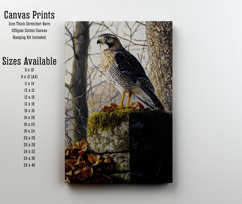 Sparrowhawk Mossy Stone Wall Cottagecore Print Poster Vintage Nature Art Dark Academia Antique Illustration Enchanted Woodland Cottagecore