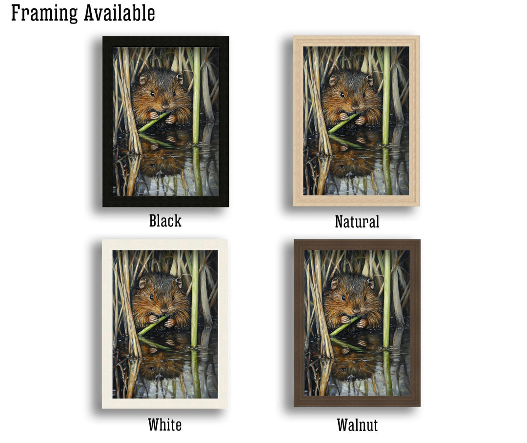 Water Vole Print: Vintage Riverbank Cottagecore Art