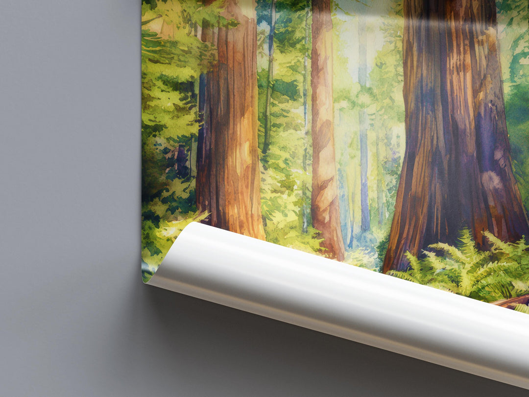 Redwood National State and Parks Watercolor Poster California Travel Print Wall Art Redwood Home Decor Redwood Gift Nature Lovers