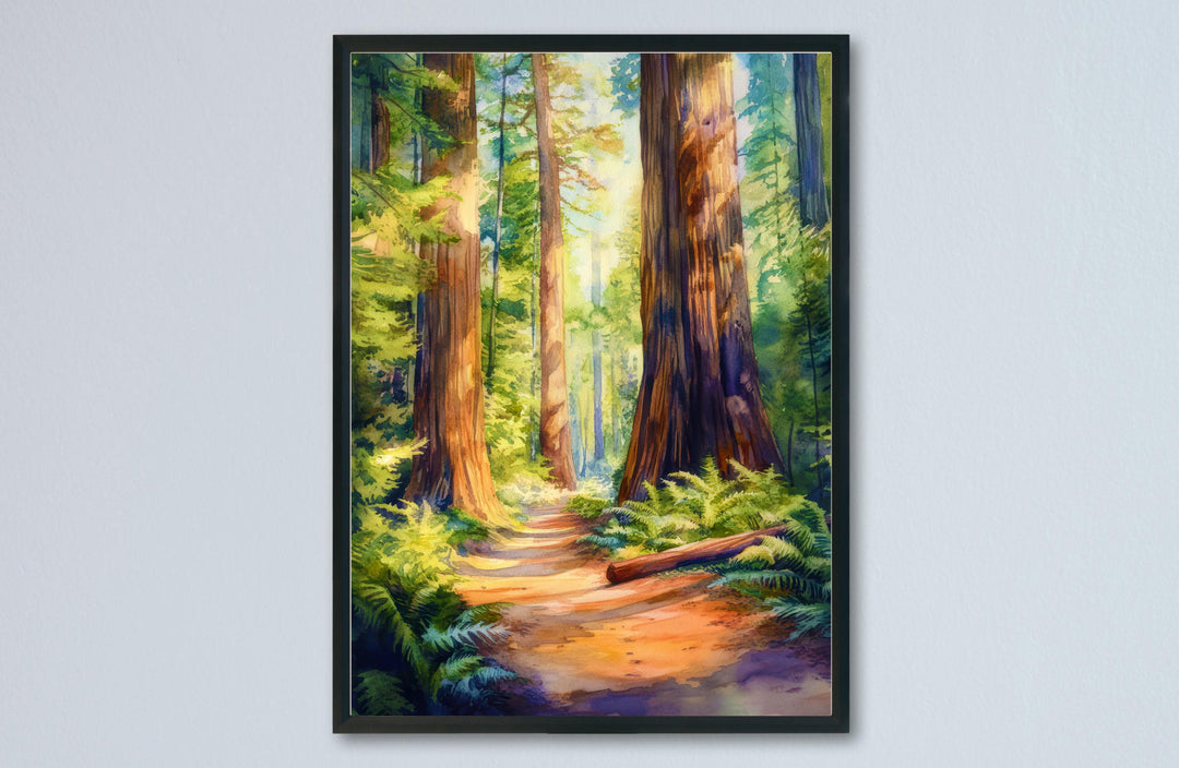 Redwood National State and Parks Watercolor Poster California Travel Print Wall Art Redwood Home Decor Redwood Gift Nature Lovers