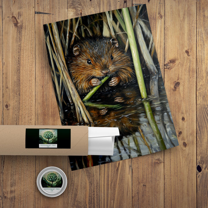 Water Vole Print: Vintage Riverbank Cottagecore Art