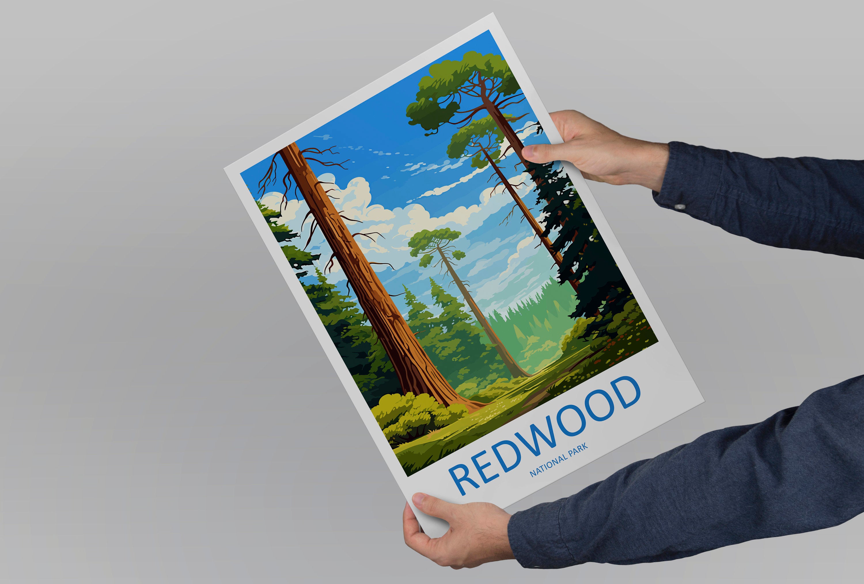 Redwood National Park Travel Print Wall Art Redwood Wall Hanging Home Décor Redwood Gift Art Lovers California Art Lover Gift