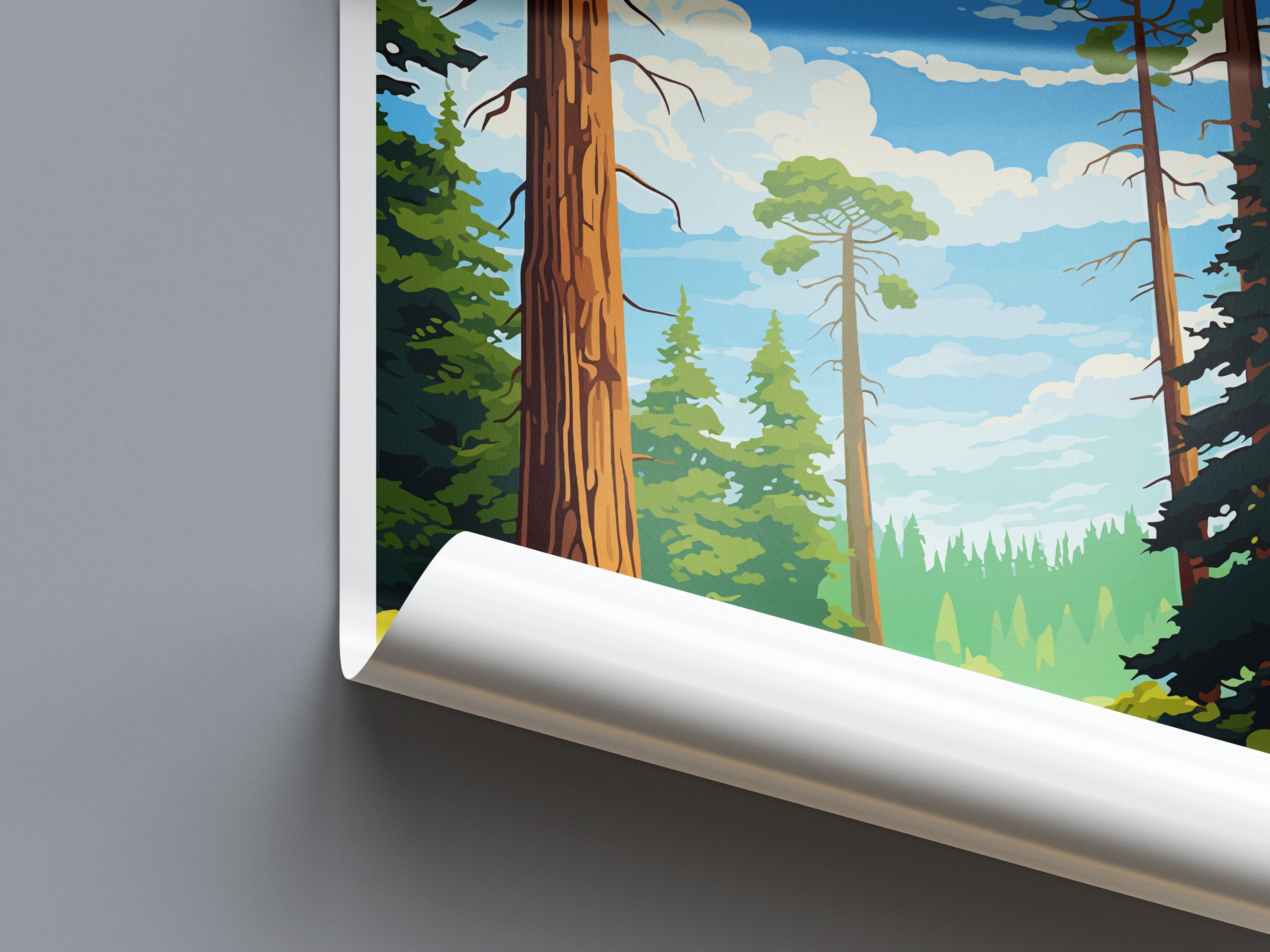 Redwood National Park Travel Print Wall Art Redwood Wall Hanging Home Décor Redwood Gift Art Lovers California Art Lover Gift