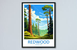 Redwood National Park Travel Print Wall Art Redwood Wall Hanging Home Décor Redwood Gift Art Lovers California Art Lover Gift